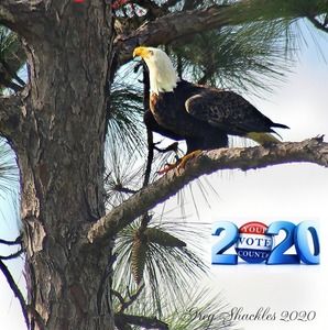 Meet your Posher, Greg